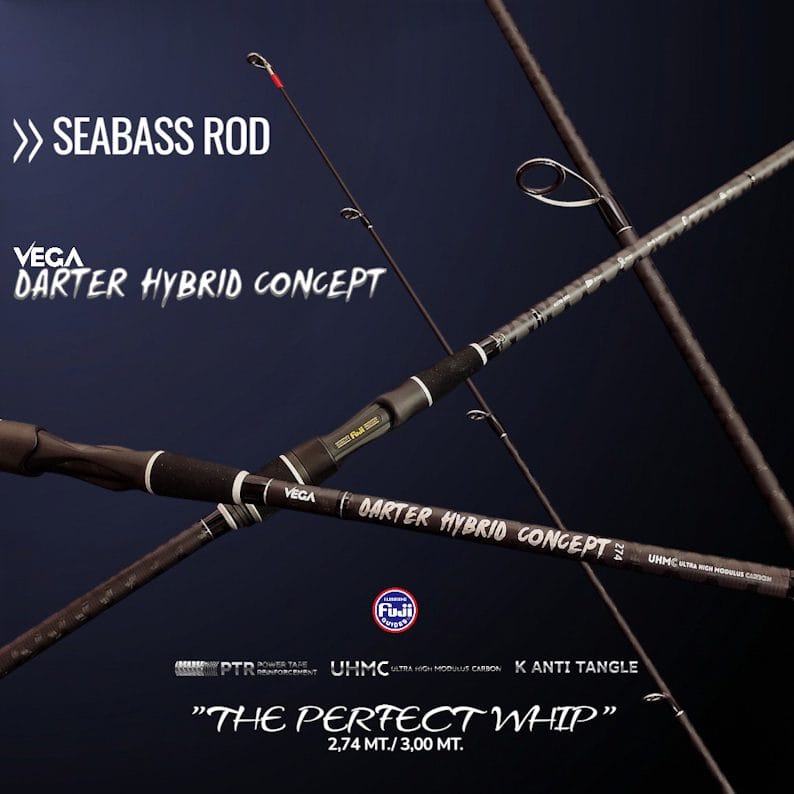 3.00mt Cana Vega Darter Hybrid Concept