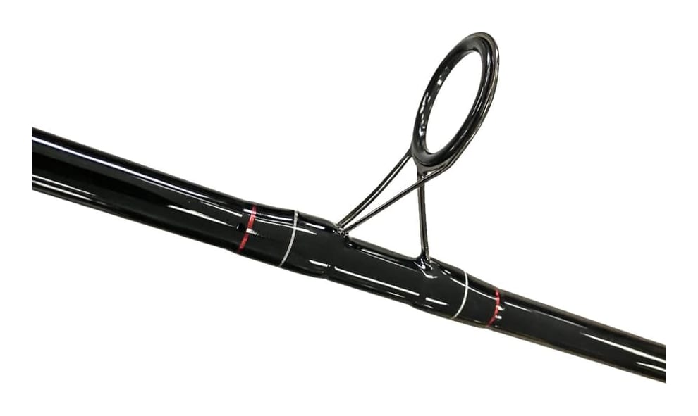 Cana Rapala Fiction 3.00mt