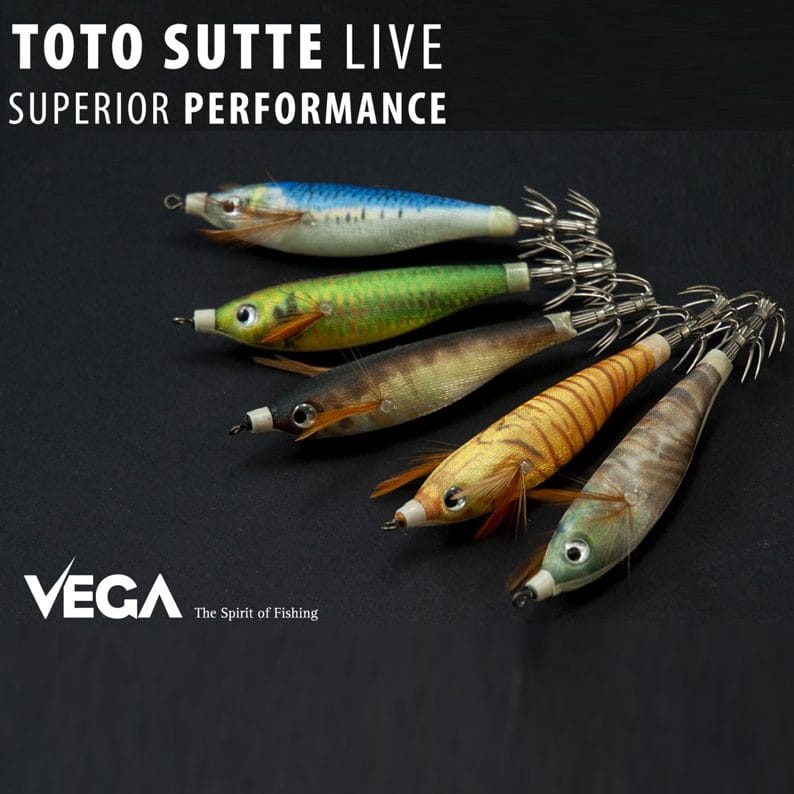 Toneiras Vega Toto Sutte Live S